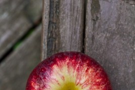 20100824-IMG_1017