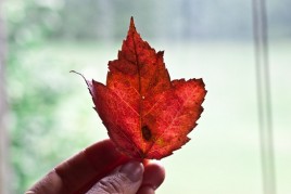 20100827-IMG_7001