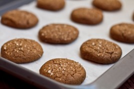 20100929-IMG_3606
