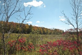 20101007-IMG_2157