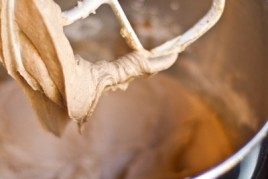 20101012-IMG_5842