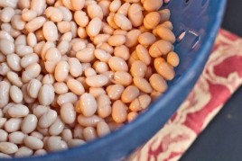 20101014-IMG_6147 - Copy