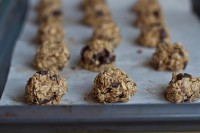 Healthy Cookie Bites 20101102-IMG_9456