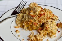 Vegan Mac ‘n Cheese 20101123-IMG_2895
