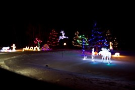 20101128-IMG_3623