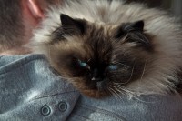 20101128-IMG_3636