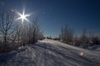 Christmas In Alberta 20101129-IMG_3889