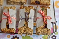 Healthy Banana Cranberry Oat Bars 20101223-IMG_7026