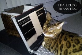 New Blog Design Is Live! 20120730_023223