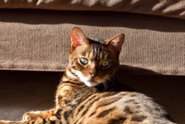 Sunning 9 (1 of 1)-7
