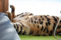 Toe Curling! IMG_0637