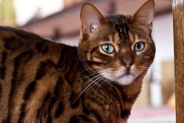 Sleep Interruption IMG_0681