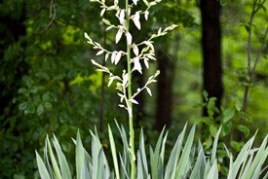 IMG_1901