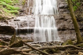 Hamilton Hiking Day Two: Tiffany and Sherman Falls! The Photography & Grub IMG_2197