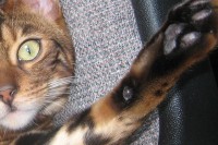 High Five IMG_2701