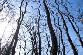 Scenes from Easter Weekend IMG_2957