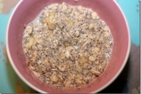 Easy Vegan Overnight Oats IMG_3907