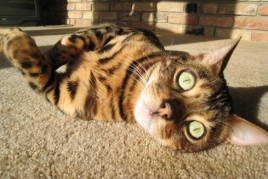IMG_405aaaa5