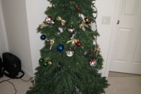 Christmas Tree, Post Sketchie IMG_4210