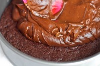 Chilled Double Chocolate Torte IMG_5272-2