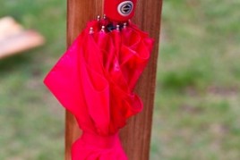 That Yoga Glow IMG_5884