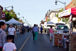 Sour Cream and Onion Kale Chips IMG_6007