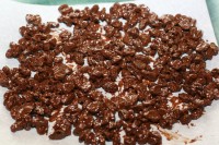 3 Ingredient Homemade Chocolate Covered Raisins IMG_7173