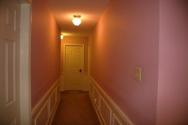 IMG_7373 (2)
