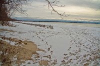IMG_7538