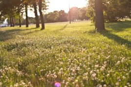 Getting Fresh In Toronto IMG_8014
