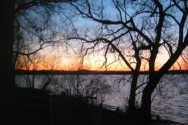 IMG_8821