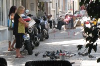 IMG_8982