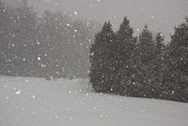 It was one of those weekends IMG_9403