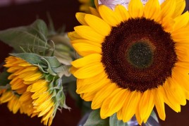 News To Share IMG_9446