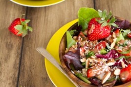 Spring Salad with Strawberry Lemon Basil Dressing IMG_9518