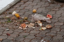 Raccoon stole our garbage from our garage! IMG_9678