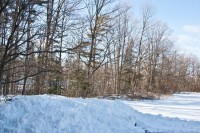 IMG_9972