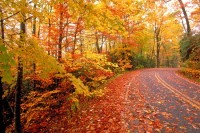 Fluffy White Clouds fall-road