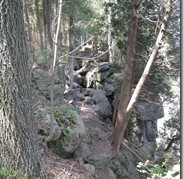 IMG_0404