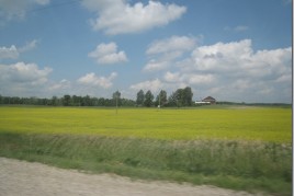 IMG_4229
