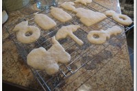 Sweet Wheat Sugar Cookies + Bridal Modeling Pictures IMG_7411