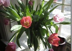 IMG_8912