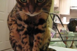 Just Me & My Mouse img_1845