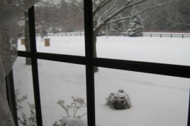 FAQ's Installment 10 img_3677