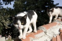 kusadasi3