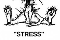 stress_cartoon[1] copy