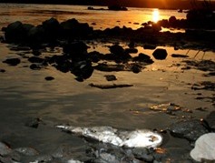 xin_17110224070425008551