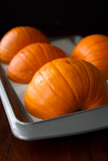 how to make pumpkin puree-5051