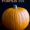 How To Roast A Sugar Pumpkin & Make Fresh Pumpkin Purée – A Step-by-step Photo Tutorial how to roast a pumpkin-4880