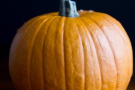 How To Roast A Sugar Pumpkin & Make Fresh Pumpkin Purée – A Step-by-step Photo Tutorial how to roast a pumpkin-4880